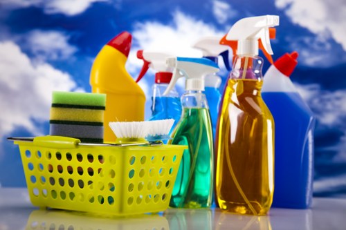 Professional pet stain odour removal on carpet in Freezywater