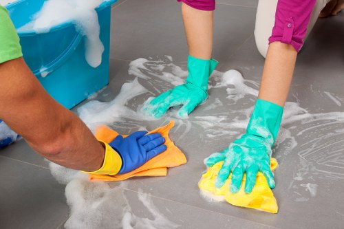 Secure carpet cleaning payment area on a laptop screen