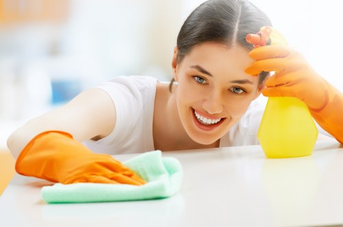 Carpet, upholstery, and clothing stain removal in Freezywater