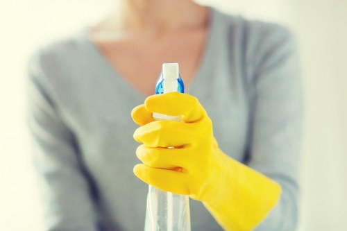 Carpet cleaning pricing explained for a Freezywater home