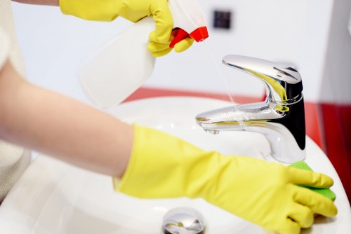 Complaint details being assessed by a carpet cleaning team