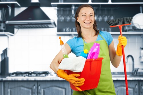 Deep carpet cleaning results in Freezywater