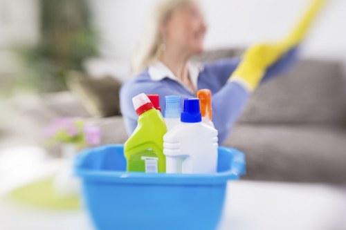 Dirty sofa stains and dust removal for Freezywater homes