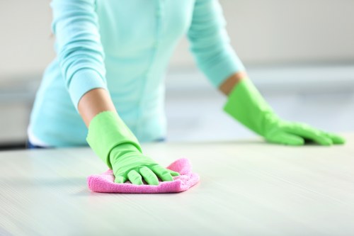 Cleaning equipment used for mattress cleaning in Freezywater