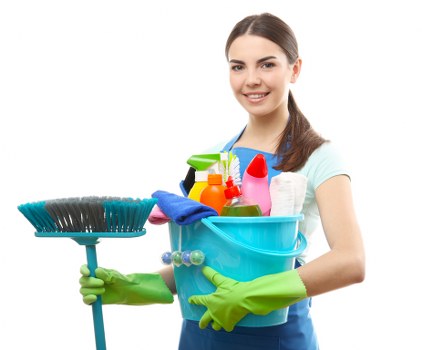 Professional carpet cleaning process for workplaces in Freezywater