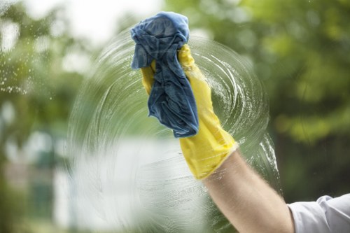 Professional stain removal process for fabrics in Freezywater