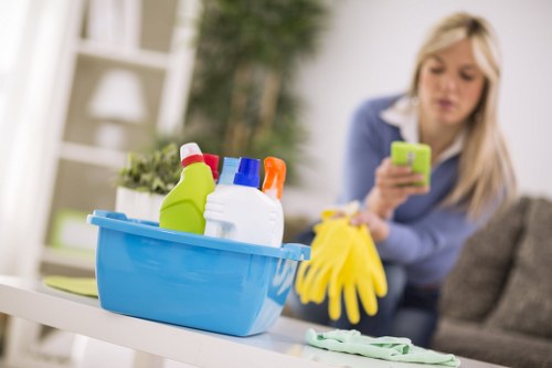 Deep cleaning equipment used for Freezywater business carpets
