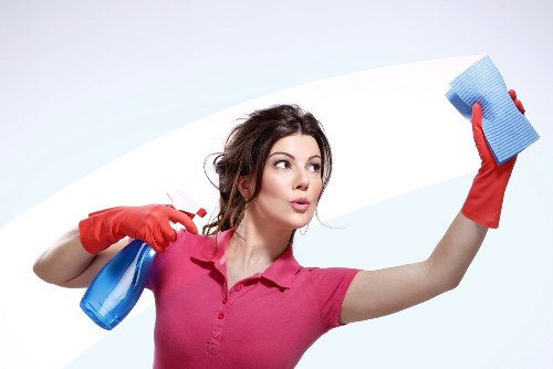 Professional carpet cleaner reviewing booking details and service notes
