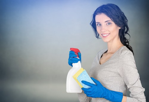 Maintenance and stain treatment for sofa cleaning in Freezywater