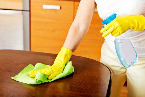 Spot treatment and stain removal on upholstered furniture in Freezywater
